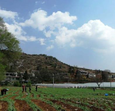 Ѱ���Գ���,1984��11��25�� Ů ����ʡ�������������