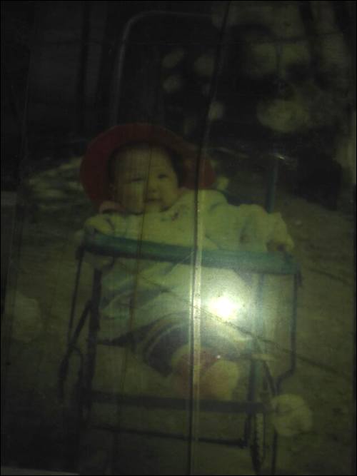 аѰĸ,1989ڰʧɢ,ڼƻĸ