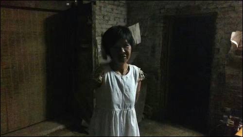 ܷѰĸ,1990ڹݰ˳ʧɢ,ƽԭ