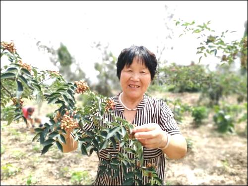 �����������������Ϻ��¶�Ѱ��,1958���Ϻ�Ͻ��ʧɢ,�Ϻ��¶�