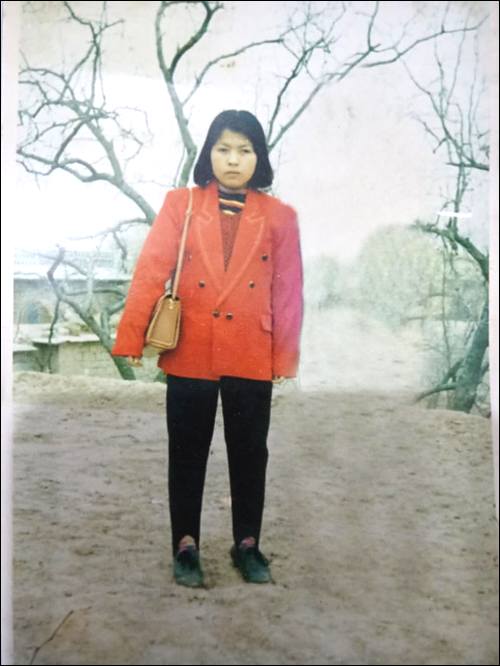 ĸѰ ,1993ʧɢ,Ӳߡֲ