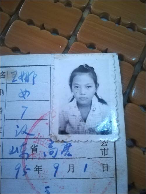 ����֥Ѱ��������ĸ,1987���㽭̨��ʧɢ,��������ĸ�����븣��Ժ