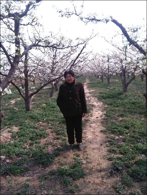 ����Ѱ������ļ� ����,1988���Ĵ���ɽʧɢ,��ʱ�����������