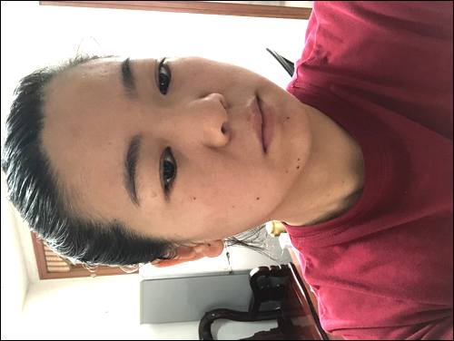 ����÷Ѱ��������ĸ,1993�ں�������ʧɢ,˫��Ƥ�������°��Ŀ���