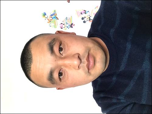 �����Ѱ��������ĸ �����,1982�ڽ����γ�ʧɢ,