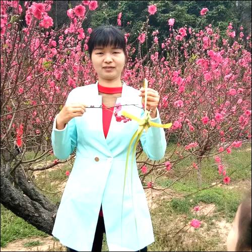 ����Ѱ�Ҹ�ĸ,1982�ں�������ʧɢ,�����±�������ĸ����