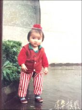 ŮҸĸ,1995ڽʧɢ,ĳ˳