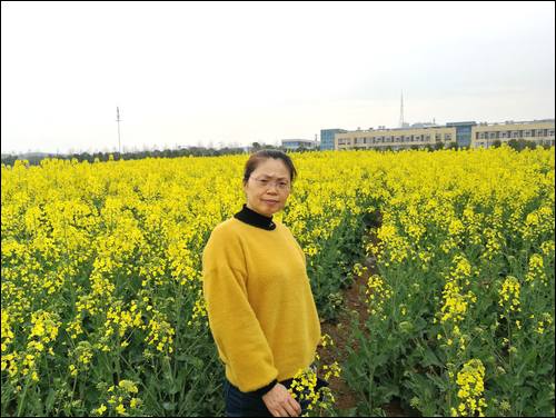 ��ƽѰ��,1969�ڰ��ջ���ʧɢ,�����ǳ���ʱ������