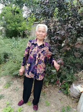 Ѱ82Ӣƫݶа弯